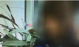 破处在线视频,真实与虚假的交织